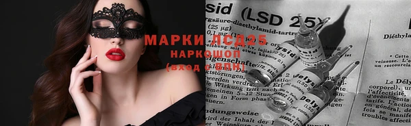 гашик Зерноград