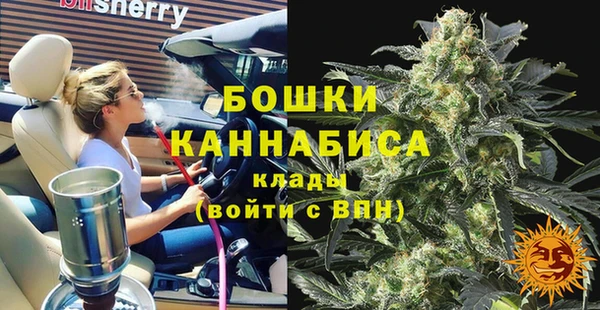 гашик Зерноград