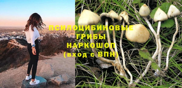 гашик Зерноград