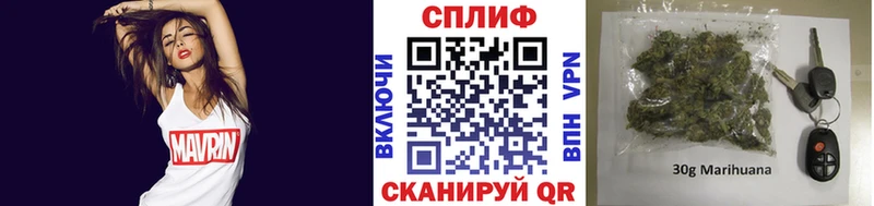 где продают наркотики  OMG   Марихуана ГИДРОПОН  Дербент 